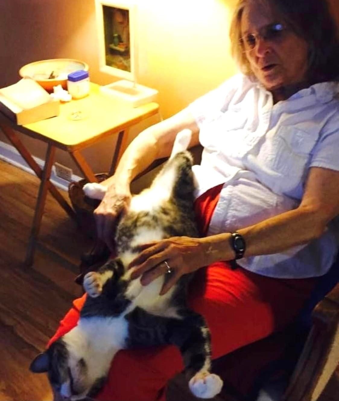 17-pound Sweetie Boy the cat is sprawled out on Brooke's lap, her hand stroking the fur on his chest while he stretches his legs in both directions